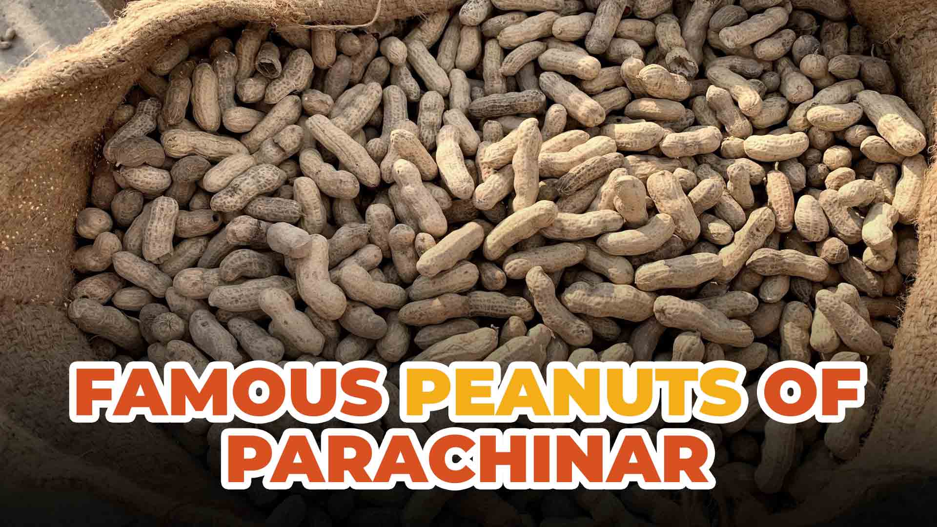 Parachinar Peanuts